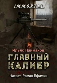 Главный калибр - Найманов Ильяс
