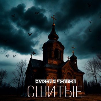 Сшитые - Долгов Максим