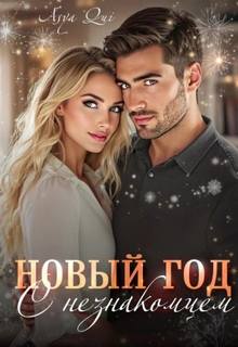 Новый год с незнакомцем - Qui Asya