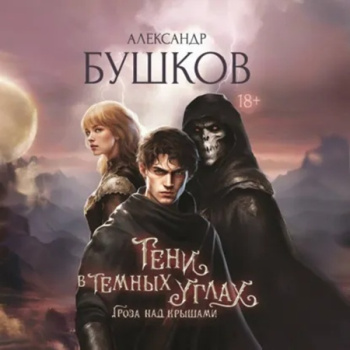 Тени в темных углах. Гроза над крышами - Бушков Александр