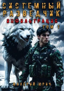 Системный разведчик. Инфильтрация. Том 1 — Юрич Валерий